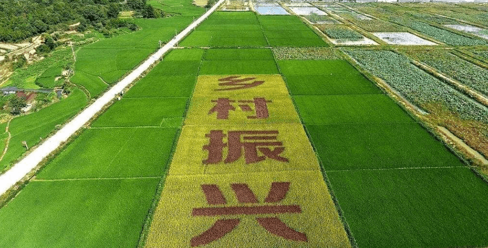 人民日報(bào)“鄉(xiāng)村振興計(jì)劃”為何看上他？_直播_行業(yè)_農(nóng)產(chǎn)品